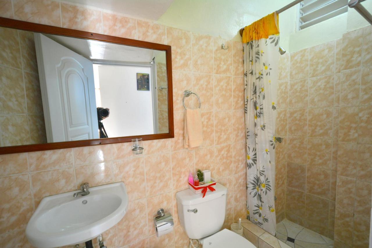 Villa Alegria Samana エクステリア 写真